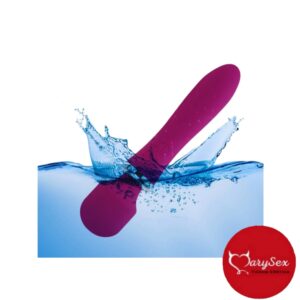 Hitachi Vibrador Eros Road - Image 2