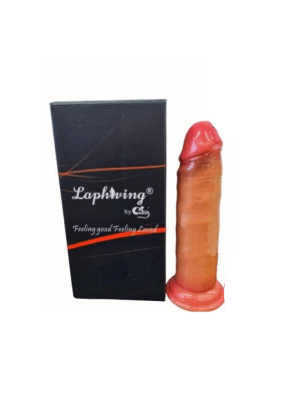 Diseño sin título - 2025-09-17T161356.711