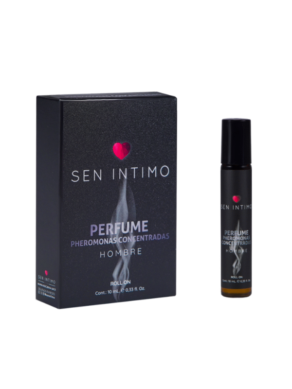 Diseño sin título - 2025-09-12T162210.511