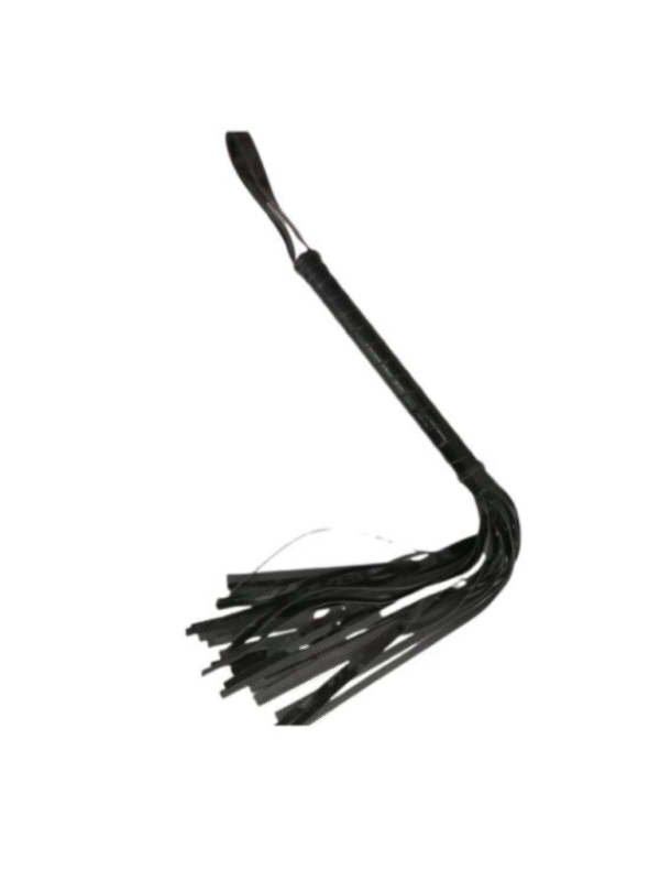 Plug Cola Cristal - 2025-09-24T163639.348