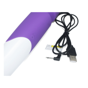 Hitachi Wand Theia - Image 2